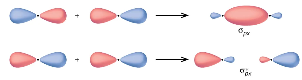 Se muestran dos filas horizontales de diagramas. El diagrama superior muestra dos orbitales con forma de maní de igual tamaño con un signo positivo entre ellos conectados a un diagrama de orbitales cuya fusión la indica una flecha orientada a la derecha. El diagrama fusionado tiene un óvalo mucho más grande en el centro y orbitales ovulares mucho más pequeños en el borde. Está marcado como "sigma subíndice p x". El diagrama inferior muestra dos orbitales en forma de maní de igual tamaño con un signo positivo entre ellos conectados a un diagrama de orbitales divididos por una flecha orientada hacia la derecha. El diagrama dividido tiene un óvalo mucho más grande en los extremos exteriores y orbitales ovulares mucho más pequeños en los bordes interiores. Está marcado como "sigma subíndice p x superíndice asterisco".