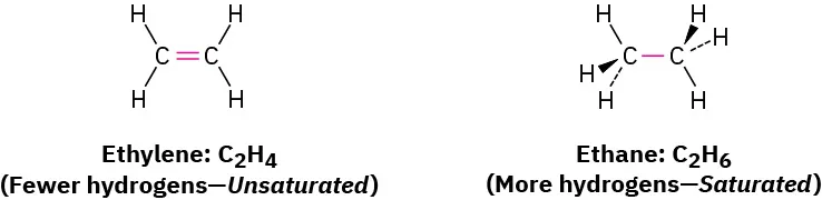 The structures of ethylene: C 2 H 4 (fewer hydrogens-unsaturated) and ethane: C 2 H 6 (more hydrogens-saturated).