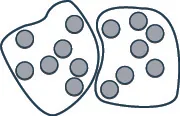 Two irregular shapes enclose groups of grey circles, depicting distinct clusters or collections of items. This image could represent separated data points or cellular groupings.