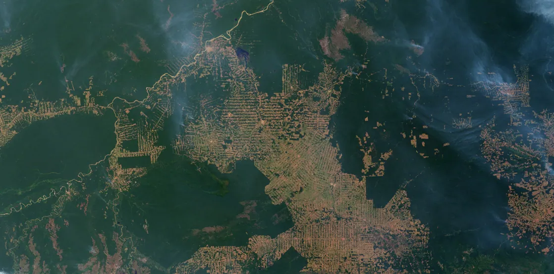 A satellite photo of deforestation shows large areas of dark green intact rainforests with large tan bare areas in the center and to the bottom left side. Light green crop or pasture areas are scattered throughout the tan areas. A fish-bone pattern of small clearings along new roads can be seen within the dark green areas in many places.