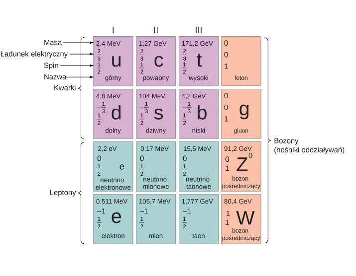 Tabela posiada cztery wiersze i cztery kolumny. Pierwsze trzy komórki w pierwszym i drugim wierszu posiadają etykiety kwarki. Pierwsze trzy komórki w wierszach trzecim i czwartym posiadają etykiety leptony. Ostatnia kolumna posiada etykiety bozony, siły. Każda komórka zawiera nazwę cząstki, jej symbol, masę, ładunek i spin. W pierwszym wierszu wartości te są następujące: komórka pierwsza: górny, u, 2.4 MeV, 2 przez 3, 1 przez 2; komórka druga: powabny, c, 1.27 GeV, 2 przez 3, 1 przez 2; komórka trzecia, wysoki, t, 171.2 GeV, 2 przez 3, 1 przez 2; komórka czwarta: foton, gamma, 0, 0, 1. W drugim wierszu te wartości są następujące: komórka pierwsza: dolny, d, 4.8 MeV, minus 1 przez 3, 1 przez 2; komórka druga: dziwny, s, 104 MeV, minus 1 przez 3, 1 przez 2; komórka trzecia: dolny, b, 4.2 GeV, minus 1 przez 3, 1 przez 2; komórka czwarta: gluon, 0, 0, 1. W trzecim wierszu wartości te są następujące: komórka pierwsza: neutrino elektronowe, v subscript e, mniej niż 2.2 eV, 0, 1 przez 2; komórka druga: neutrino mionowe, v subscript mu, mniej niż 0.17 MeV, 0, 1 przez 2; komórka trzecia: neutrino taonowe, v subscript tau, mniej niż 15.5 MeV, 0, 1 przez 2; komórka czwarta: bozon pośredniczący, z indeks górny 0, 91.2 GeV, 0,1. W czwartym wierszu wartości te są następujące: komórka pierwsza: elektron, e, 0.511 MeV, minus 1, 1 przez 2; komórka druga: muon, mu, 105.7 MeV, minus 1, 1 przez 2; komórka trzecia: tau, tau, 1.777 GeV, minus 1, 1 przez 2; komórka czwarta bozon pośredniczący, w plus minus, 80.4 GeV, plus minus 1, 1.