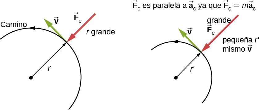 La figura está formada por dos semicírculos. El semicírculo de la izquierda tiene radio r y es mayor que el de la derecha, que tiene radio r primo. En ambas figuras, la dirección del movimiento se da en sentido contrario de las agujas del reloj a lo largo de los semicírculos. Se muestra un punto en la trayectoria, donde el radio se muestra con una flecha que apunta hacia fuera desde el centro del semicírculo. En el mismo punto, la fuerza centrípeta, F sub c, se muestra que apunta hacia adentro, en la dirección opuesta a la de la flecha del radio. La velocidad, v, se muestra también en este punto, y es tangente al semicírculo, apunta hacia la izquierda y hacia arriba, perpendicular a las fuerzas. En ambas figuras, la velocidad es la misma, pero el radio primo es menor y la fuerza centrípeta es mayor en la figura de la derecha. Se observa que el vector F sub c es paralelo al vector a sub c ya que el vector F sub c es igual a m por el vector a sub c.
