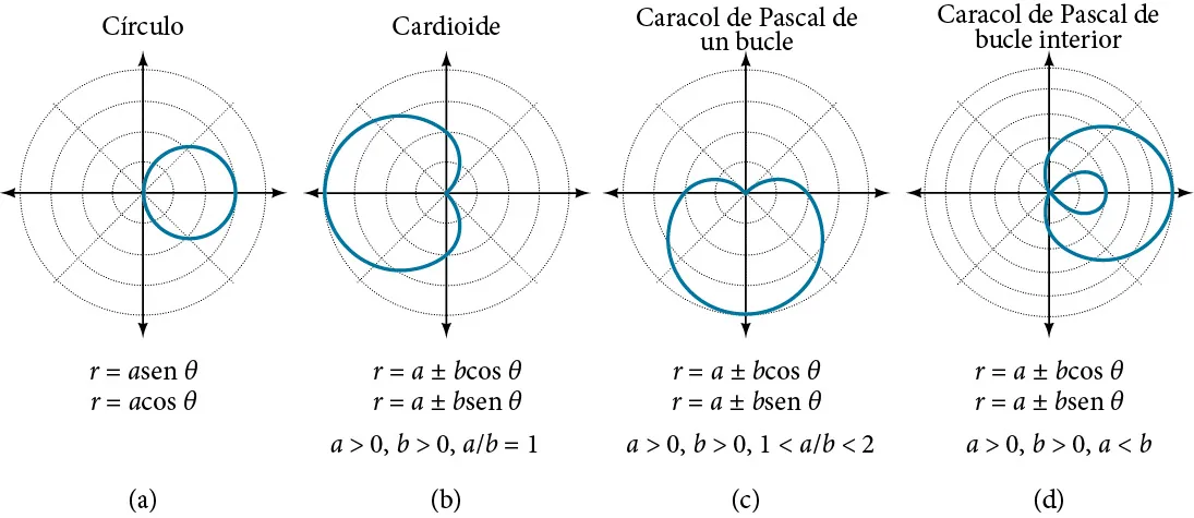 Cuatro gráficos uno al lado del otro: un resumen. (A) es un círculo: r = asen(theta) o r = acos(theta). (B) es una cardioide: r = a + o – bcos(theta), o r = a + o – b sen(theta). a > 0, b > 0, a/b = 1. (C) es un caracol de Pascal de un lazo. r = a + o – bcos(theta), o r = a + o – bsen(theta). a > 0, b > 0, 1 < a/b < 2. (D) es un caracol de Pascal de lazo interno. R = a + o – bcos(theta), o r = a + o – bsen(theta). A > 0, b > 0, a < b.