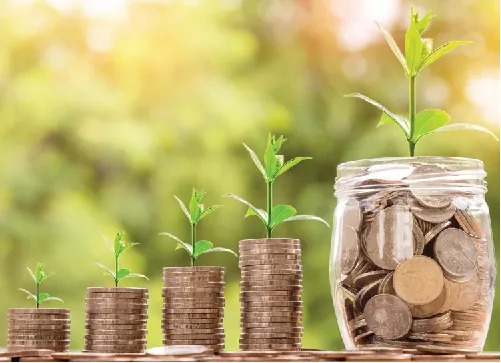 Photo of stacks of pennies and a jar of pennies, each with a plant growing out of the top.
