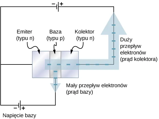 Trzy prostokąty (bloki) połączone są bokami jeden po drugim. Od lewej do prawej oznaczone są jako: emiter, typu n, baza, typu p i kolektor, typu n. Źródło napięcia przyłączone jest pomiędzy kolektor i emiter, z biegunem dodatnim na kolektorze. Inne źródło napięcia przyłączone jest pomiędzy emiter i bazę, z biegunem dodatnim na bazie. Gruba strzałka zaczyna się na emiterze, biegnie przez pozostałe dwa bloki, wychodzi z kolektora i biegnie wzdłuż pierwszego obwodu. Strzałka ta opisana jest jako przepływ dużego strumienia elektronów, prądu kolektora. Cieńsza strzałka biegnie od bazy do drugiego obwodu. Opisana jest jako przepływ małego strumienia elektronów, prąd bazy.