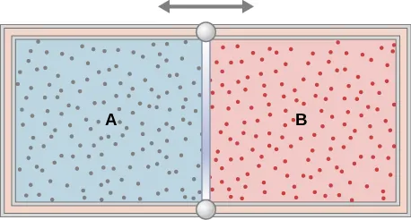 Rysunek przedstawia cylinder z tłokiem po środku dzielącym zbiornik na dwie komory o tej samej objętości. Pozioma strzałka z dwoma grotami znajdująca się nad tłokiem symbolizuje to, że tłok może się przesuwać. Ściany cylindra są izolowane. Lewa komora, oznaczona literą A, wypełniona jest niebieskim gazem, a prawa komora, oznaczona literą B, czerwonym. Kuleczki w obu komorach symbolizują cząsteczki gazów.