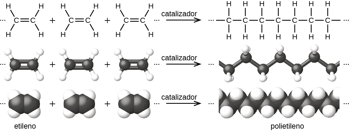 Este diagrama tiene tres filas, que indican la reacción del etileno para formar el polietileno. En la primera fila, las fórmulas estructurales de Lewis muestran tres moléculas de etileno que se suman, cada una de las cuales está compuesta por dos átomos de C doblemente enlazados, cada uno con dos átomos de H enlazados. Antes y después de las estructuras de las moléculas hay elipses o tres puntos, que a su vez van seguidos de una flecha que apunta a la derecha. En el lado derecho de la flecha, las elipses o puntos vuelven a aparecer a la izquierda de un guion que conecta con una cadena de 7 átomos de C, cada uno con átomos de H conectados por encima y por debajo. Al final de la cadena aparece un guion, que a su vez va seguido de elipses o puntos. El diagrama de reacción se repite en la segunda fila con modelos de barras y esferas para las estructuras. En estas representaciones, los enlaces simples se representan con barras, los dobles enlaces con dos barras paralelas y los elementos con esferas. Los átomos de carbono son negros y los de hidrógeno son blancos en esta imagen. En la tercera fila, se muestran los modelos de espacio lleno. En estos modelos, los átomos son esferas agrandadas que se empujan entre sí, sin barras que representen enlaces.