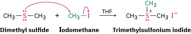 Dimethyl sulfide reacts with iodomethane in the presence of tetrahydrofuran to form trimethylsulfonium iodide. Sulfur and iodide in the product carry positive and negative charges, respectively.
