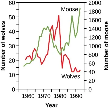 A graph with the x-axis labeled “Year” ranging from 1955 to 1995 in increments of 5. The left y-axis is labeled “Number of wolves” and ranges from 0 to 60.  The right y-axis is labeled “Number of moose” and is labeled from 0 to 2000.  A red line indicates wolves, starting around (1960, 15) and going up and down slightly on twice, dropping to (1963, 15), then increasing to (1977, 45), down 10, then back up to (1980, 50), then a sharp decrease to (1982, 12), a small spike up, and a steady decline, ending with some evening out around (1993, 10).   A blue line indicates moose, starting around (1960, 60), moving steadily upward to a local maximum at (1973, 1400) , then decreasing to a local minimum at (1981, 800), then moving steadily upward to (1987, 1600), dipping down at (1990, 1200), then steadily back upward, ending the graph at (1993, 1850).