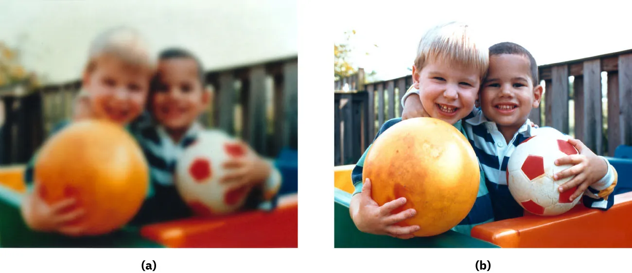 Two photos, (a) the left photo showing visibility due to cataracts, and the (b) right photo with normal vision.