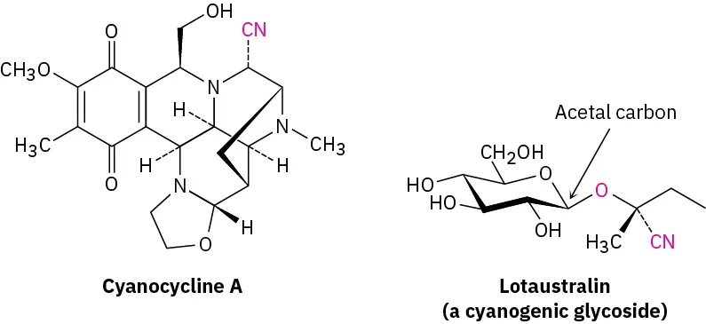 The structures of Cyanocycline A and Lotaustralin. Lotaustralin is a cyanogenic glycoside with an acetal carbon (C with two R groups and two O R groups).
