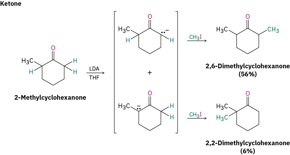 2-Methylcyclohexanone reacts with L D A in T H F to form two intermediates, which react with methyl iodide to form 2,6-dimethylcyclohexanone (56 percent) and 2,2-dimethylcyclohexanone (6 percent), respectively.