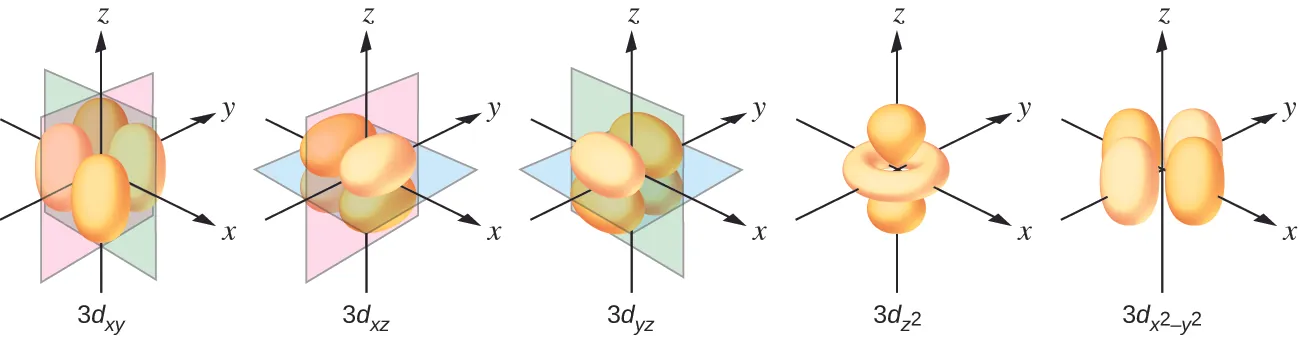 Esta figura incluye diagramas de cinco orbitales d. Cada diagrama incluye tres ejes. El eje z es vertical y se indica con una flecha hacia arriba. En el primer diagrama está marcado como "z". Las flechas identifican de forma similar el eje x con una flecha que apunta desde la parte posterior izquierda hasta la parte frontal derecha, en diagonal a través de la figura y el eje y con una flecha que apunta desde la parte frontal izquierda en diagonal a través de la figura hasta la parte posterior derecha del diagrama. Estos ejes están marcados de forma similar como "x" y "y". Del primero al tercer diagrama se muestran cuatro formas anaranjadas con apariencia de globos. Sin embargo, estos diagramas difieren en la orientación de las formas a lo largo de los ejes y las marcaciones de los ejes x, y y z se han sustituido por la letra L. Se han añadido planos a las figuras para ayudar a mostrar las diferencias de orientación con estos diagramas. En el primer diagrama, un plano verde está orientado verticalmente a través de la longitud del eje x y un plano azul está orientado horizontalmente a través de la longitud del eje y. Las formas de globos se extienden desde el origen hasta los espacios entre los ejes z positivo y y negativo, los ejes z positivo y y positivo, los ejes z negativo y y negativo, y los ejes z negativo y y positivo. Este diagrama está marcado como "3 d subíndice ( y z )”. En el segundo diagrama, un plano verde está orientado verticalmente a través de los ejes x y y, y un plano azul está orientado horizontalmente a través de la longitud del eje x. Las formas de globos se extienden desde el origen hasta los espacios entre los ejes z positivo y x negativo, los ejes z positivo y x positivo, los ejes z negativo y x negativo, y los ejes z negativo y x positivo. Este diagrama está marcado como "3 d subíndice ( x z )”. En el tercer diagrama, un plano rosa está orientado verticalmente a través de la longitud del eje y y un plano verde está orientado verticalmente a través de la longitud del eje x. Las formas de globos se extienden desde el origen hasta los espacios entre los ejes x positivo y y negativo, los ejes x positivo y y positivo, los ejes x negativo y y negativo, y los ejes x negativo y y positivo. Este diagrama está marcado como "3 d subíndice ( x y )" En el cuarto diagrama un par de las formas anaranjadas con apariencia de globos están presentes y se extienden desde el origen por encima y por debajo a lo largo del eje vertical. Alrededor del origen se coloca una forma toroidal o dona de color naranja, orientada a través de los ejes x y y. Esta forma se extiende hasta aproximadamente un tercio de la longitud de las regiones positiva y negativa de los ejes x y y. Este diagrama está marcado como "3 d subíndice ( z superíndice 2 )”. En el quinto diagrama, cuatro formas anaranjadas con apariencia de globos se extienden desde un punto en el origen a lo largo de los ejes x y y en direcciones positivas y negativas, cubriendo algo más de la mitad de la longitud de los ejes x y y positivos. Debajo del diagrama está la marcación "3 d subíndice ( x superíndice 2 menos y superíndice 2 )”.