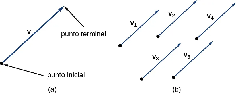 Esta figura tiene dos imágenes. La primera está marcada como "a" y tiene un segmento de línea que representa el vector v. El segmento de línea comienza en el punto inicial y va hasta el punto terminal. Hay una punta de flecha en el punto terminal. La segunda imagen está marcada como "b" y consta de cinco vectores, cada uno de ellos marcado como v sub 1, v sub 2, v sub 3, v sub 4, v sub 5. Todos apuntan en la misma dirección y tienen la misma longitud.