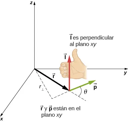 Se muestra un sistema de coordenadas x y z en el que la x apunta hacia afuera de la página, la y apunta hacia la derecha y la z apunta hacia arriba. El vector r apunta desde el origen hasta un punto del plano x y, en el primer cuadrante. El vector apunta desde la punta del vector r, en un ángulo de theta en sentido contrario al de la dirección del vector r, visto desde arriba. Los vectores r y p están en el plano x y. El vector l apunta hacia arriba, y es perpendicular al plano x y, en consonancia con la regla de la mano derecha. Cuando la mano derecha tiene los dedos curvados en sentido contrario de las agujas del reloj, visto desde arriba, el pulgar apunta hacia arriba, en la dirección de l. También se nos muestran los componentes del vector r paralelos y perpendiculares al vector p. El vector r sub perpendicular es la proyección del vector r perpendicular a la dirección del vector p.