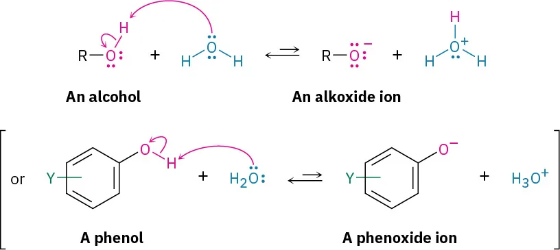 A reversible reaction in which alcohol reacts with water to form alkoxide ion and hydronium ions. Phenol reacts with water to form phenoxide ion and hydronium ion.