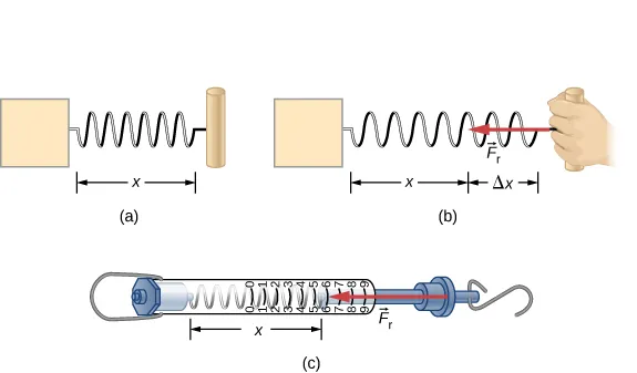 Rysunek a przedstawia nie rozciągniętą sprężynę o długości x w stanie spoczynku. Rysunek b z kolei ukazuje sytuację, w której sprężynę rozciągnięto o pewną długość delta x po czy użyto pewnej siły F w celu przywrócenia jej do położenia równowagi. Zwrot siły F jest przeciwny do kierunku wychylenia sprężyny. Rysunek c pokazuję wagę sprężynową. Jak widać, hak przymocowany do sprężyny jest ciągnięty w jednym kierunku powodując wydłużenie sprężyny o delta x. Na skali wagi widoczne są znaczniki, mówiące o tym jak bardzo sprężyna została rozciągnięta.