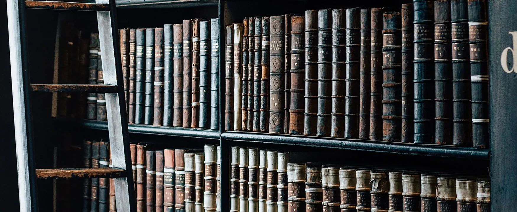 A bookshelf, presumably in a library, containing rows and rows of hardcover and old-looking books. A ladder is also depicted.