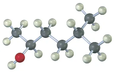 A ball-and-stick model of a six-carbon chain with hydroxyl on C 2, and methyl group on C 5 position.