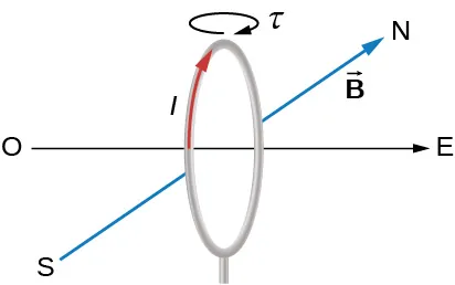 Se muestra un bucle circular vertical junto con las direcciones de la brújula. El eje (perpendicular al plano del bucle) está en la línea este-oeste. El campo magnético apunta al norte. La corriente en el bucle circula en el sentido de las agujas del reloj visto desde el este. El torque en el bucle es en el sentido de las agujas del reloj cuando se mira hacia abajo en su parte superior.