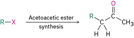 A reaction in which R-X undergoes acetoacetic ester synthesis to yield methyl ketone. In the product, an R group is attached to C H 2 which in turn is bonded to a carbonyl group attached to a methyl group.