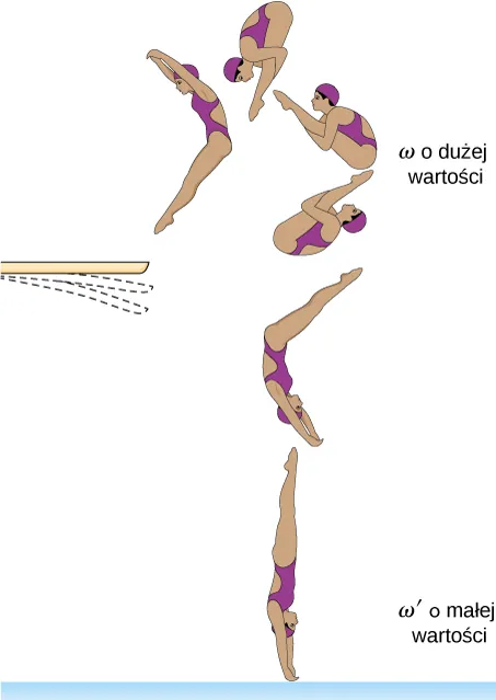 Rysunek nurka w kilku punktach nurkowania, tuż po opuszczeniu trampoliny, tuż przed wejściem do wody. Po opuszczeniu trampoliny nurek znajduje się w pozycji szczupaka, z nogami zbliżonymi do jej ciała i prędkość kątowa omega jest duża. Kiedy zbliża się do wody, rozciąga ciało. Uderza w wodę pionowo, w pełni wydłużony, a prędkość kątowa omega prim jest mała.