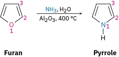 Furan reacts with ammonia, water, and aluminum oxide at 400 degree Celsius to form pyrrole. The atoms in the ring are numbered.
