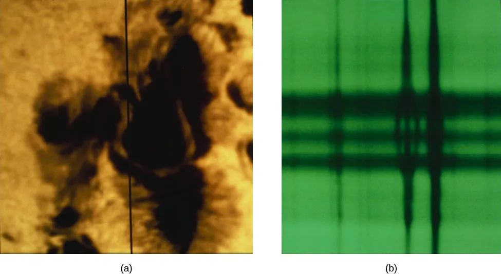 A figure illustrating the Zeeman Effect. On the left is a photograph of a sunspot, and on the right is a spectrograph.