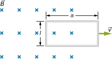 Rysunek przedstawia prostokątny obszar, w którym istnieje jednorodne pole magnetyczne o indukcji B – prostopadłe do płaszczyzny tegoż rysunku. Pole to zwrócone jest do płaszczyzny rysunku. Dłuższe boki obszaru tegoż pola są poziome. Równolegle do płaszczyzny rysunku - znajduje się prostokątna ramka. Długość krótszych boków ramki wynosi l, długość boków dłuższych jest równa a. Dłuższe boki ramki są poziome. Połowa powierzchni ramki znajduje się poza prawą granicą obszaru pola magnetycznego. Ramka porusza się w poziomie, ku prawej stronie rysunku z prędkością v, której wektor zaznaczony jest na rysunku.
