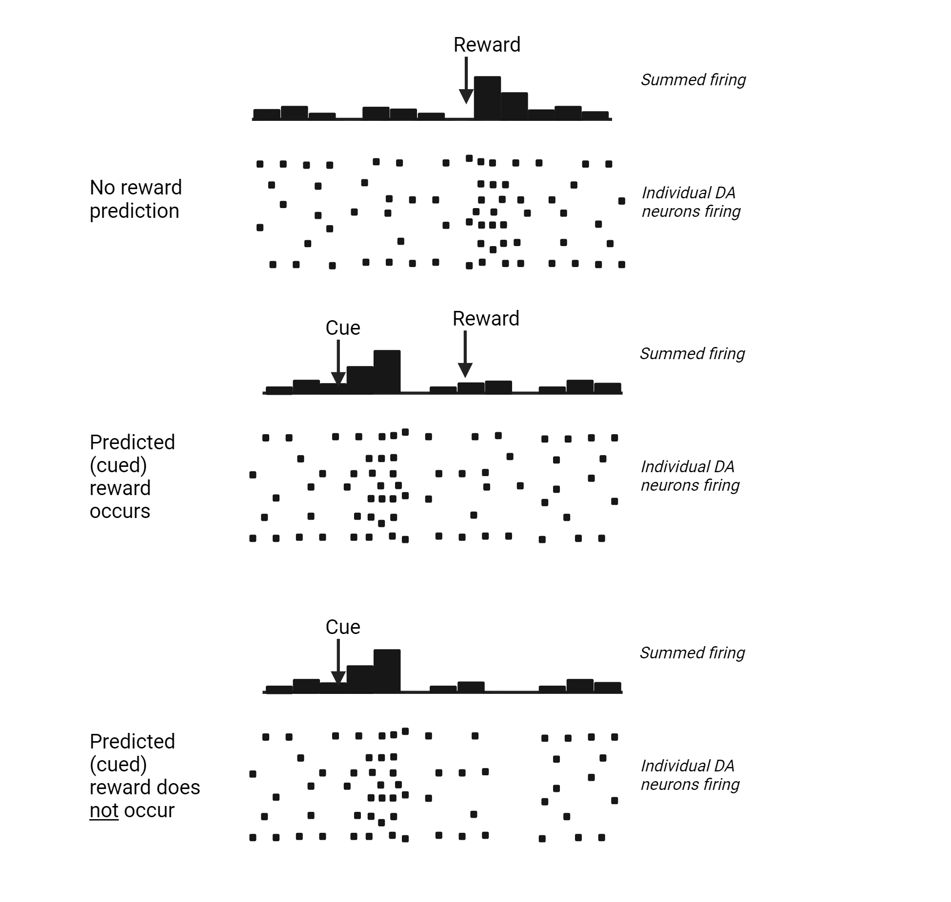 Three-part diagram. Each part shows bars representing summed firing on top of a series of dots that represent individual DA neurons firing. 1) No reward prediction, most firing is right after a reward. 2) Predicted (cued) reward occurs, most firing is right after a cue. A later reward does not change firing. 3) Predicted (cued) reward does not occur, most firing is right after the cue. The gap where a reward would have occurred shows a decrease in firing below baseline rates.