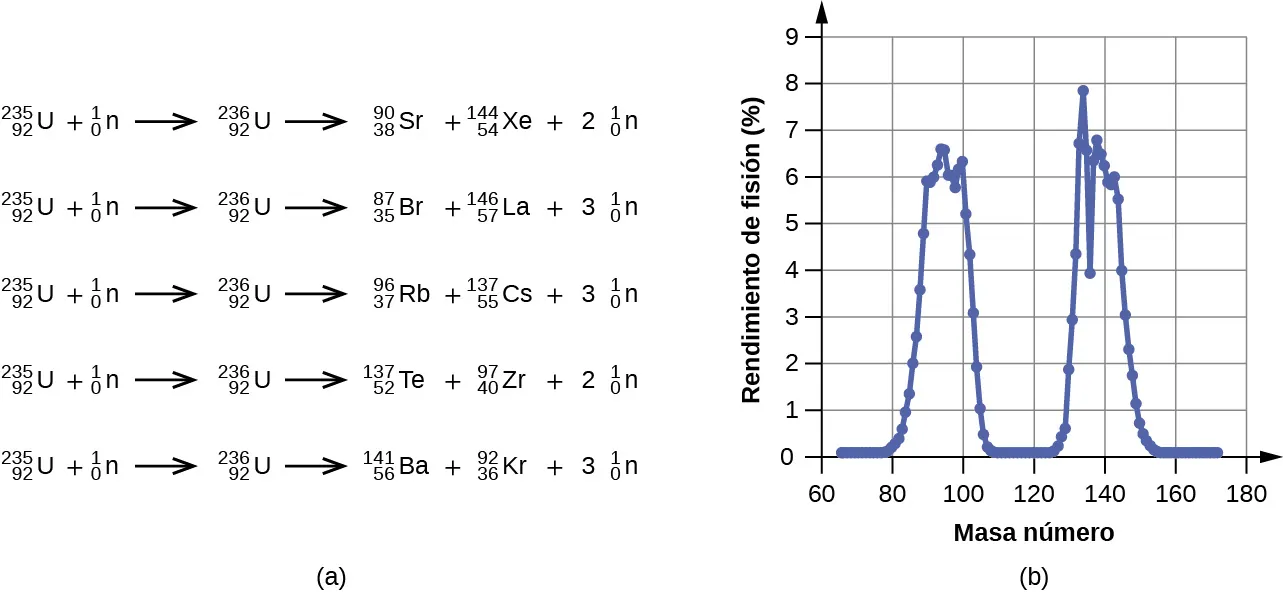 Se muestran cinco ecuaciones nucleares y un gráfico. La primera ecuación es "superíndice, 235, subíndice 92, U, signo más, superíndice, 1, subíndice 0, n, flecha de rendimiento, superíndice, 236, subíndice 92, U, flecha de rendimiento, superíndice, 90, subíndice 38, S r, signo más, superíndice, 144, subíndice 54, X e, signo más, 2, superíndice, 1, subíndice 0, n". La segunda ecuación es "superíndice, 235, subíndice 92, U, signo más, superíndice, 1, subíndice 0, n, flecha de rendimiento, superíndice, 236, subíndice 92, U, flecha de rendimiento, superíndice, 87, subíndice 35, B r, signo más, superíndice, 146, subíndice 57, L a, signo más, 3, superíndice, 1, subíndice 0, n". La tercera ecuación es "superíndice, 235, subíndice 92, U, signo más, superíndice, 1, subíndice 0, n, flecha de rendimiento, superíndice, 236, subíndice 92, U, flecha de rendimiento, superíndice, 97, subíndice 37, R b, signo más, superíndice, 137, subíndice 55, C s, signo más, 3, superíndice, 1, subíndice 0, n". La cuarta ecuación es "superíndice, 235, subíndice 92, U, signo más, superíndice, 1, subíndice 0, n, flecha de rendimiento, superíndice, 236, subíndice 92, U, flecha de rendimiento, superíndice, 137, subíndice 52, T e, signo más, superíndice, 97, subíndice 40, Z r, signo más, 2, superíndice, 1, subíndice 0, n". La quinta ecuación es "superíndice, 235, subíndice 92, U, signo más, superíndice, 1, subíndice 0, n, flecha de rendimiento, superíndice, 236, subíndice 92, U, flecha de rendimiento, superíndice, 141, subíndice 56, B a, signo más, superíndice, 92, subíndice 36, K r, signo más, 3, superíndice, 1, subíndice 0, n". También se muestra un gráfico en el que el eje y está marcado como "rendimiento de fisión (%)" y tiene valores de 0 a 9 en incrementos de 1, mientras que el eje x está marcado como "número de masa" y tiene valores de 60 a 180 en incrementos de 20. El gráfico comienza cerca del punto "65, 0" y sube rápidamente hasta cerca de "92, 6,6", luego baja con la misma rapidez hasta "107, 0" y permanece allí hasta el punto "127, 0". Luego, el gráfico vuelve a subir hasta cerca de "132, 8", y luego sube y baja un poco antes de caer hasta un punto "153, 0", y ponerse horizontal.