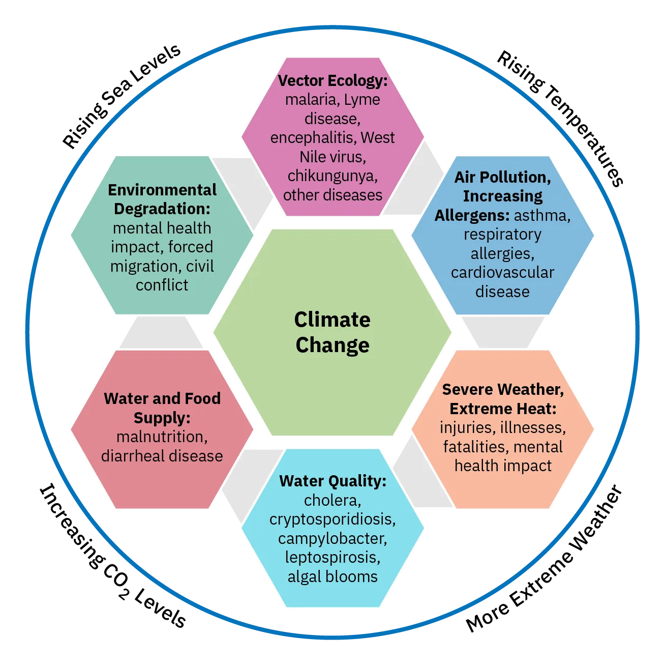 A diagram shows how climate change, such as rising sea levels, rising temperature, more extreme weather, and increasing C O 2 levels will have a negative impact on health. Environmental degradation will impact mental health, forced migration, and civil conflict. Vector ecology will impact rates of malaria, Lyme disease, encephalitis, West Nile Virus, chikungunya, and other diseases. Air pollution and increasing allergens will impact asthma, respiratory allergies, and cardiovascular disease. Severe weather and extreme heat will impact injuries, illnesses, fatalities, and mental health. Water quality will impact rates of cholera, cryptosporidiosis, campylobacter, leptospirosis, and algal blooms. Water and food supply issues will impact malnutrition and diarrheal disease.