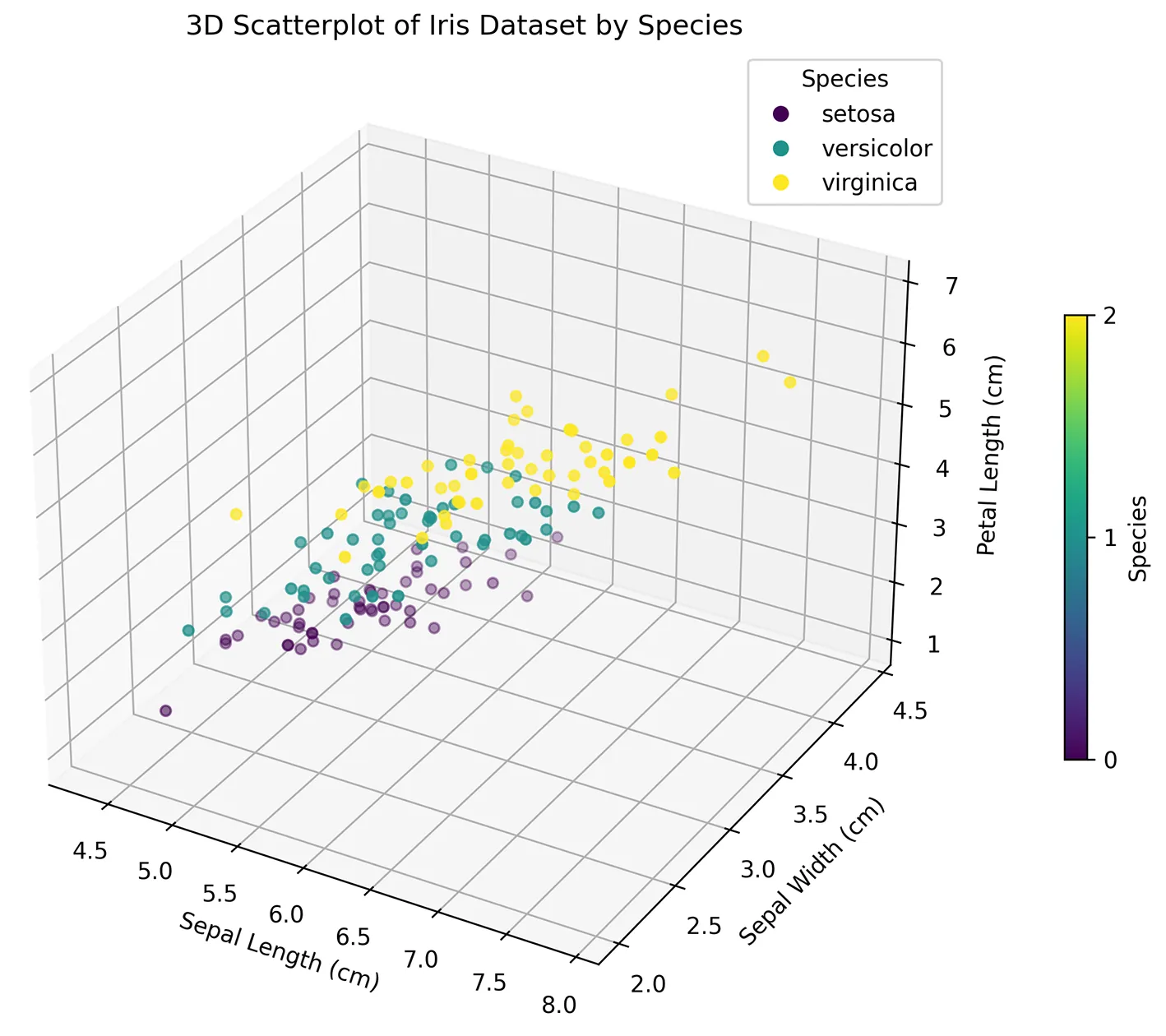 A 3D scatter plot of the iris dataset by species showing the relationship between sepal length (cm), sepal width (cm), and petal length (cm) with a color gradient representing species setosa, versicolor, and virginica.