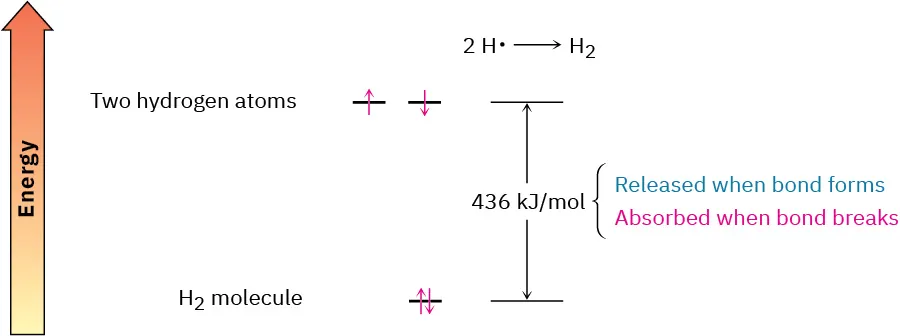 The energy level and electron orientation of H 2 molecule and two hydrogen atoms are shown. The difference in their energy level is 436 kilojoules per mole.