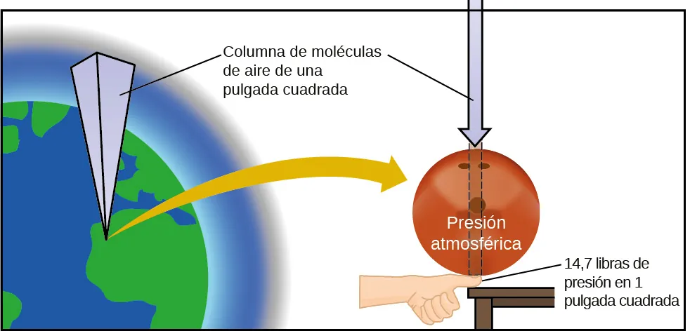 La parte izquierda de esta figura muestra un gráfico de la tierra con un prisma rectangular invertido que se extiende desde un punto de la misma. Cerca de la parte superior de la imagen, el rótulo "columna de pulgadas cuadradas de moléculas de aire" se conecta al prisma con un segmento de línea. Esta marca también se conecta con un segmento de línea a una flecha que apunta hacia abajo en el lado derecho de la figura. Debajo de la flecha hay un círculo rojo marcado como "presión atmosférica". Un estrecho rectángulo con un borde de línea discontinua se extiende desde la parte inferior de la flecha verticalmente a través del círculo. Justo debajo de este rectángulo, en el borde inferior del círculo, hay una mano con el pulgar apoyado en un tablero. El pulgar está conectado con un segmento de línea a la marca "14,7 libras de presión en 1 pulgada cuadrada". El círculo rojo está situado encima del pulgar.