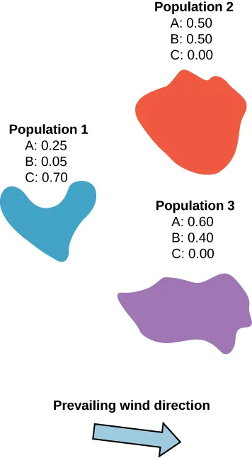 Allele frequencies for three populations (1, 2, 3) and a prevailing wind direction. Allele C is present only in Population 1 (0.70), and absent (0.00) in Populations 2 and 3.