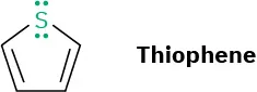 Thiophene has a sulfur atom at first position with two lone pairs of electrons. The ring has two alternate double bonds.