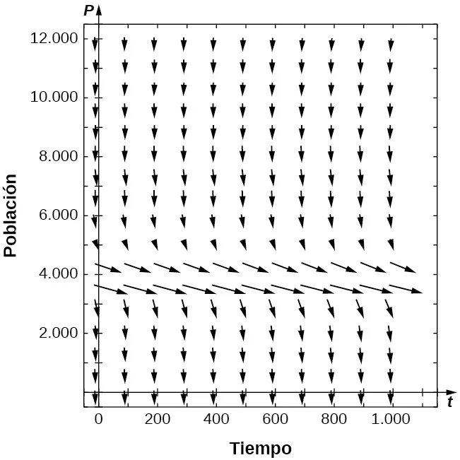 Un campo de direcciones con flechas que apuntan hacia abajo y hacia la derecha. Alrededor de y = 4.000, las flechas son más horizontales. Cuanto más lejos están las flechas de esta línea, más verticales se vuelven.