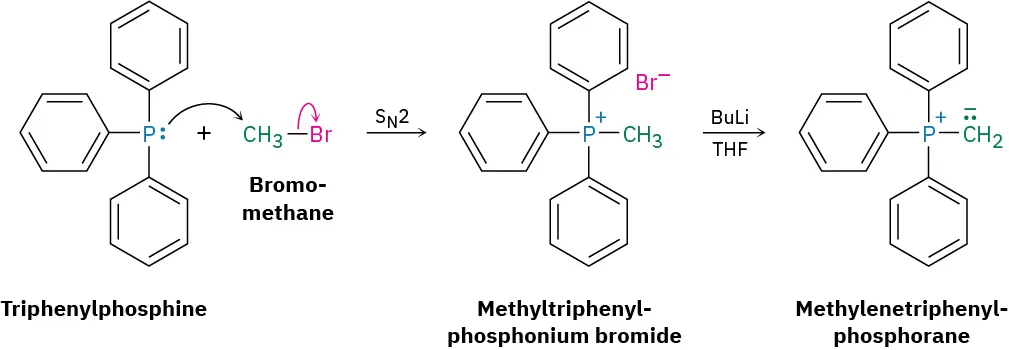 Triphenylphosphine reacts with bromomethane via an S N 2 reaction to produce methyltriphenylphosphonium bromide, which then reacts with B u L i and T H F to form methylenetriphenylphosphorane.