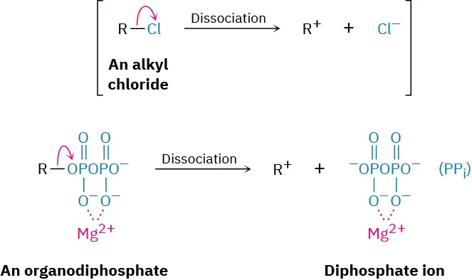 A reaction in parentheses shows alkyl chloride dissociating to R plus and Cl minus. Separately, an organodiphosphate dissociates to form R plus and diphosphate ion.