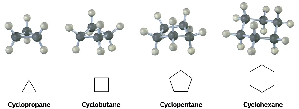 The ball and stick models and bond-line structures of cyclopropane, cyclobutane, cyclopentane, and cyclohexane, positioned from left to right.