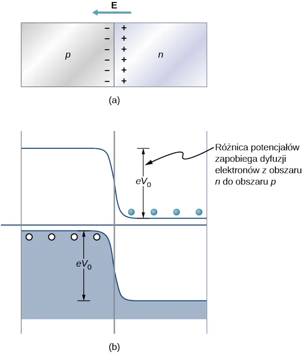 Na rysunku a znajdują się dwa prostokąty, jeden obok drugiego, stykające się bokami. Lewy prostokąt oznaczony jest jako p a prawy jako n. Uszeregowane pionowo znaki plus znajdują się po stronie n tuż przy krawędzi styku prostokątów. W dolnej części rysunku b pokazane jest pasmo walencyjne a w górnej części linia krawędzi pasma przewodnictwa. Krawędź pasma walencyjnego znajduje się wyżej, po lewej stronie, osiągając niemal linię środkową biegnącą przez oba obszary. Przy wierzchołku pasma walencyjnego, po lewej stronie, zaznaczone są dziury. Linia krawędzi pasma przewodnictwa jest położona niżej, po prawej stronie, osiągając niemal linie środkową biegnącą przez oba obszary. Tuż ponad nią znajdują się elektrony. Przesunięcie pasm oznaczone jest przez eV z indeksem 0, i opisane jako różnica potencjałów zapobiegająca dyfuzji elektronów z obszaru n do p.