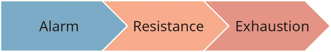 An illustration shows the three stages of General adaptation syndrome as, “Alarm,” “Resistance,” and “Exhaustion.”