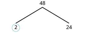 A factor tree showing the number 48 branching into its factors, with 2 and 24 as its immediate children, and the number 2 circled.