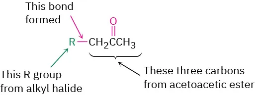 A structure in which R group is bonded to C H 2 that is bonded to carbonyl bonded to C H 3. The three carbon atoms are from acetoacetic ester.