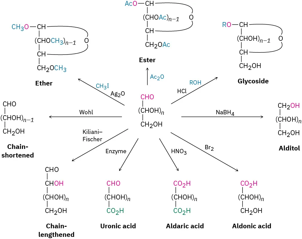 Nine reactions of aldoses. The products are ethers, esters, glycosides, alditols, aldonic acids, aldaric acids, uronic acids, and chain-lengthened, and chain-shortened structures formed by the involvement of specific reagents.