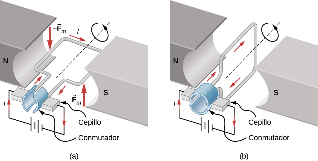 Un esquema de un motor de corriente continua que consiste en un imán con un hueco horizontal, una fuente de alimentación con cables conectados a las escobillas y un cable que se dobla en un bucle rectangular. Los extremos del cable se unen a los contactos que se conectan a las escobillas de la fuente de alimentación cuando el bucle está horizontal. Cuando el bucle es vertical, se alinean con el espacio entre los contactos. El polo norte del imán está a la izquierda, el polo sur a la derecha. Figura a: El bucle es horizontal y las escobillas hacen contacto con el bucle. Una corriente en el sentido de las agujas del reloj (mirando hacia abajo) fluye a través del bucle, por lo que la corriente en el segmento izquierdo de este fluye hacia la página y la corriente en el segmento derecho fluye hacia fuera de la página. La fuerza magnética en el segmento izquierdo es hacia abajo y en el segmento derecho es hacia arriba. El bucle gira en sentido contrario a las agujas del reloj (mirando hacia el interior de la página). Figura b: El bucle es vertical. Las escobillas no están en contacto con el bucle. No fluye la corriente y no se ejerce ninguna fuerza.