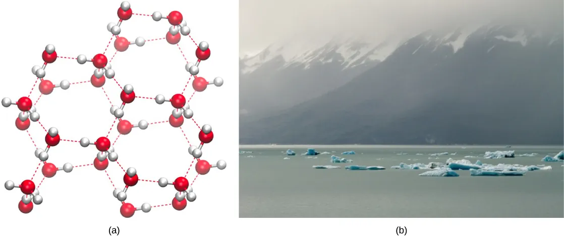 Illustration A shows the molecular structure of ice. The water molecules are arranged in hexagons, and are bonded together with hydrogen bonds. The hexagonal arrangements have a good deal of space between them. Image B shows ice floes floating on ocean water near a mountain range that rises out of the water.