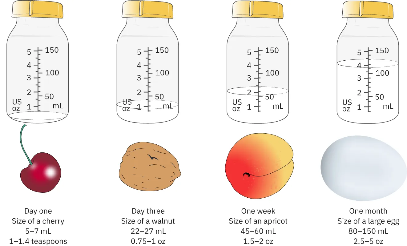 Image of amounts newborns consume at day one (5-7 mL; 1-1.4 teaspoons), day three (22-27 mL; 0.75-1 oz.), one week (45-60 mL; 1.5-2 oz.), and one month (80-150 mL; 2.5-5 oz.).