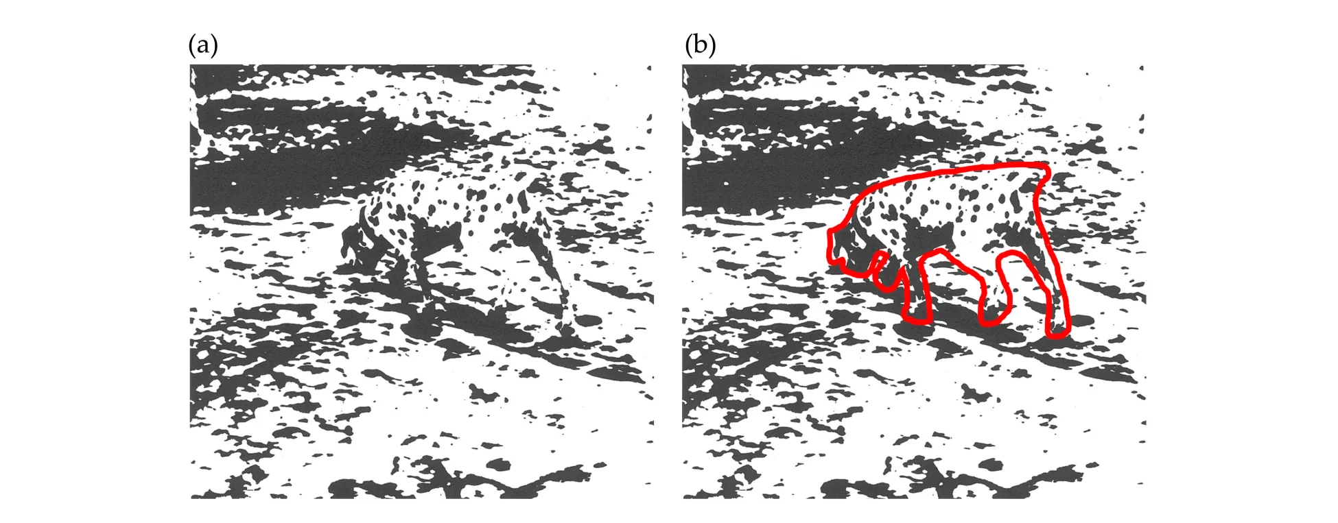 Black and white image of assortment of shapes and splotches that leads most people to perceive a spotted dog in leafy shade. The image is also reproduced with the dog outlined in red.